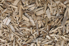 biomass boilers Tontine